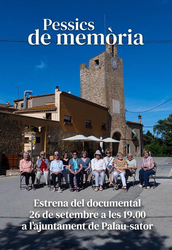Pessics de memòria
