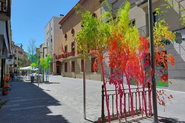 Branques al carrer Ample