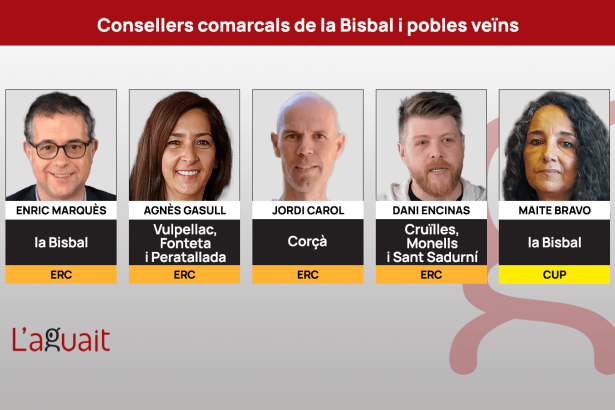Consellers comarcals