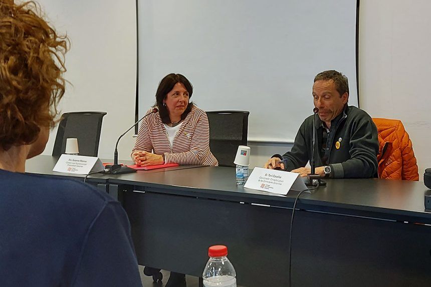 Consell Local