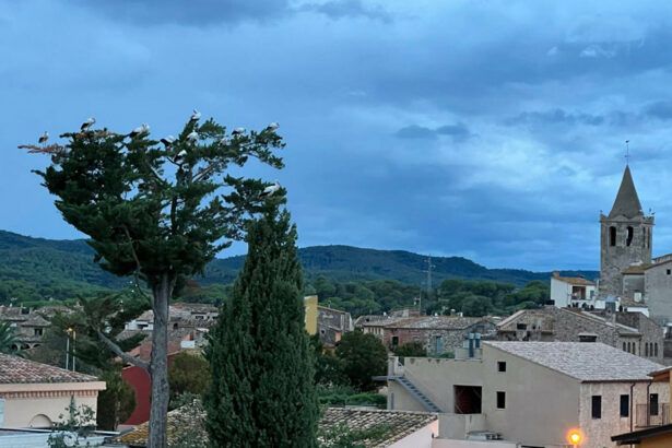 Cigonyes