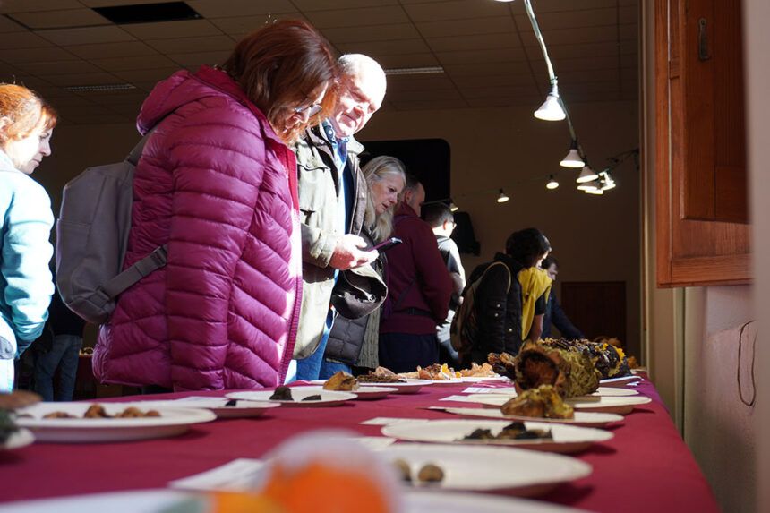 Exposició de bolets