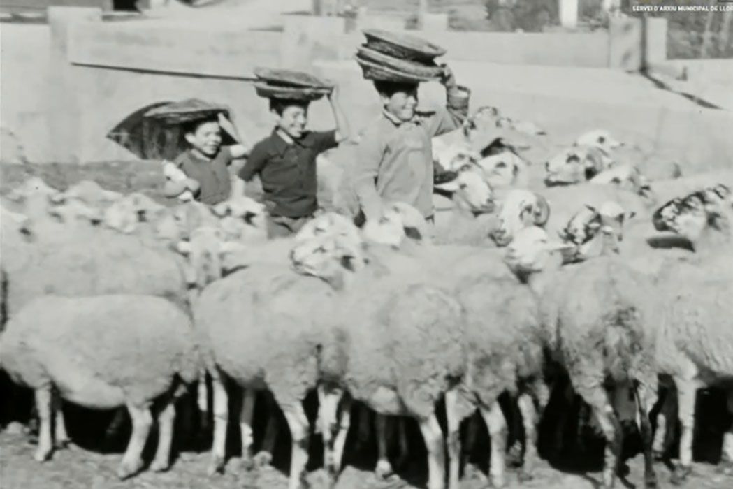Fotograma de Los lobos de la Costa Brava