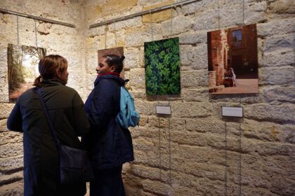Exposició