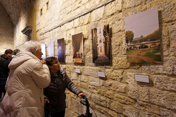 Exposició