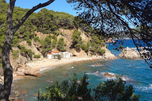 Cala del Crit