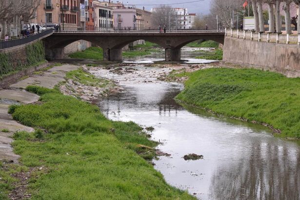 Daró