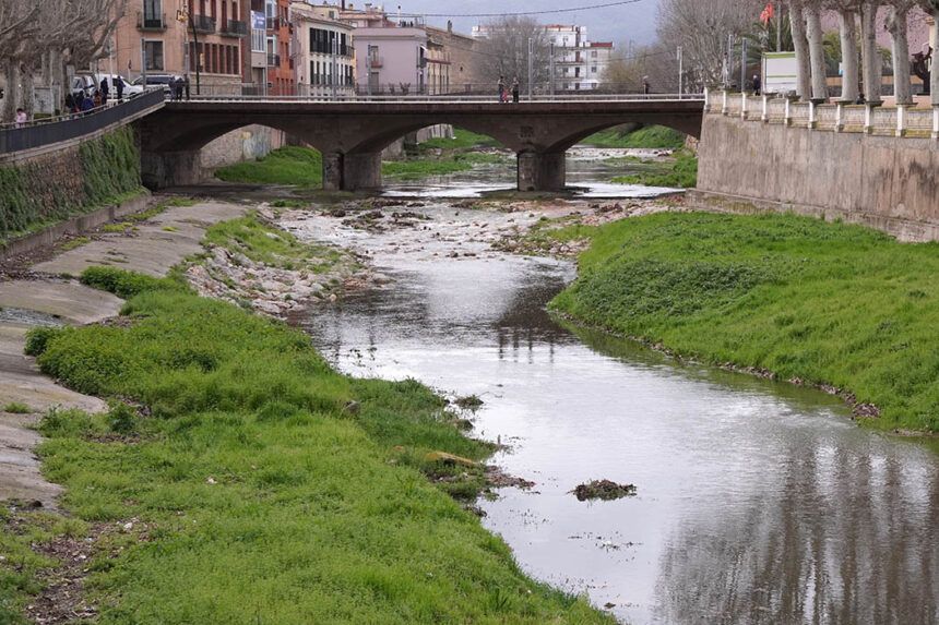 Daró