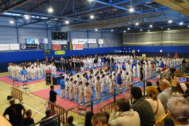 Campionat de karate