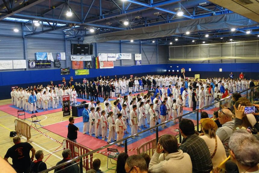 Campionat de karate