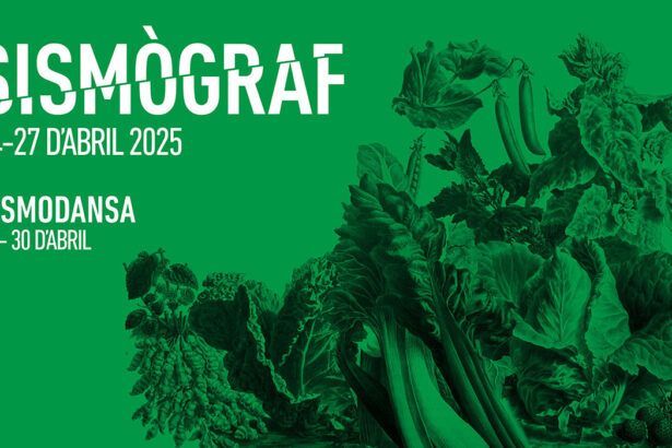 Sismògraf