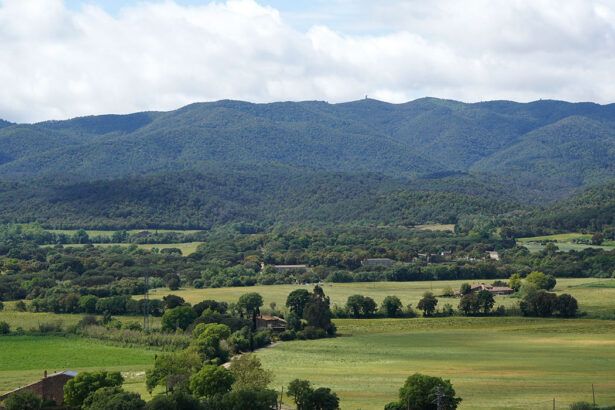 Les Gavarres