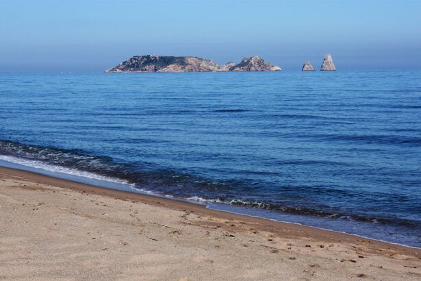 Illes Medes