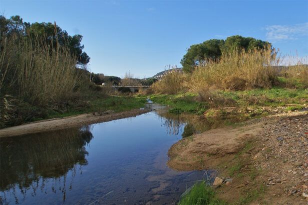 Riera de Calonge