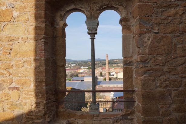 Vista de la Bisbal