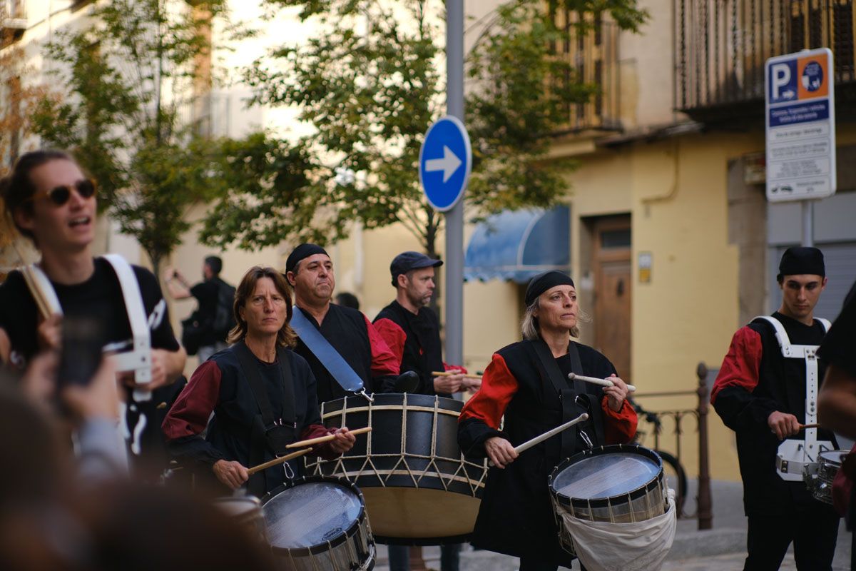 Cercavila de bèsties