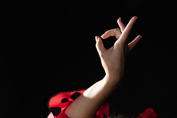 Flamenca