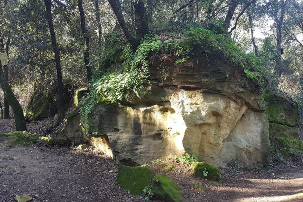 Clots de Sant Julià