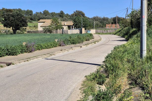 Camí