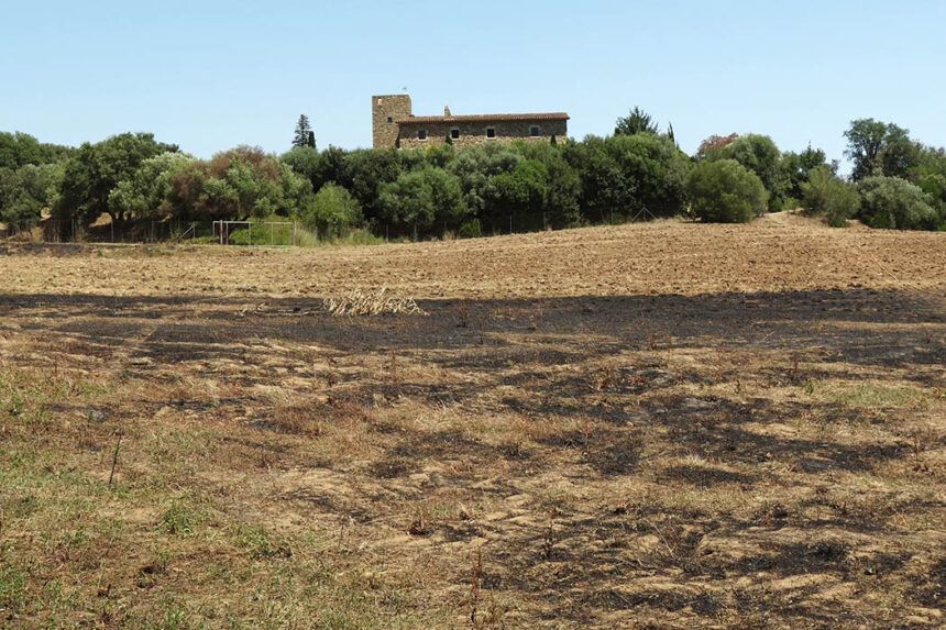 Un camp cremat