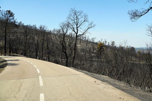 Incendi a la Ganga