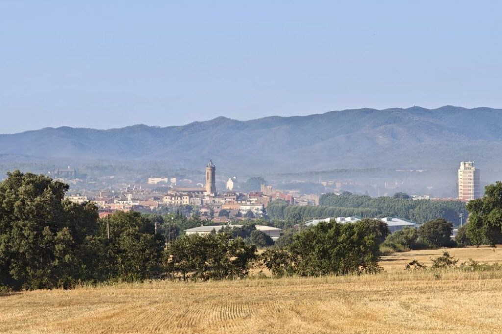 Vista