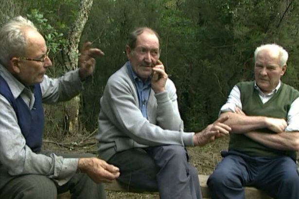 Documental